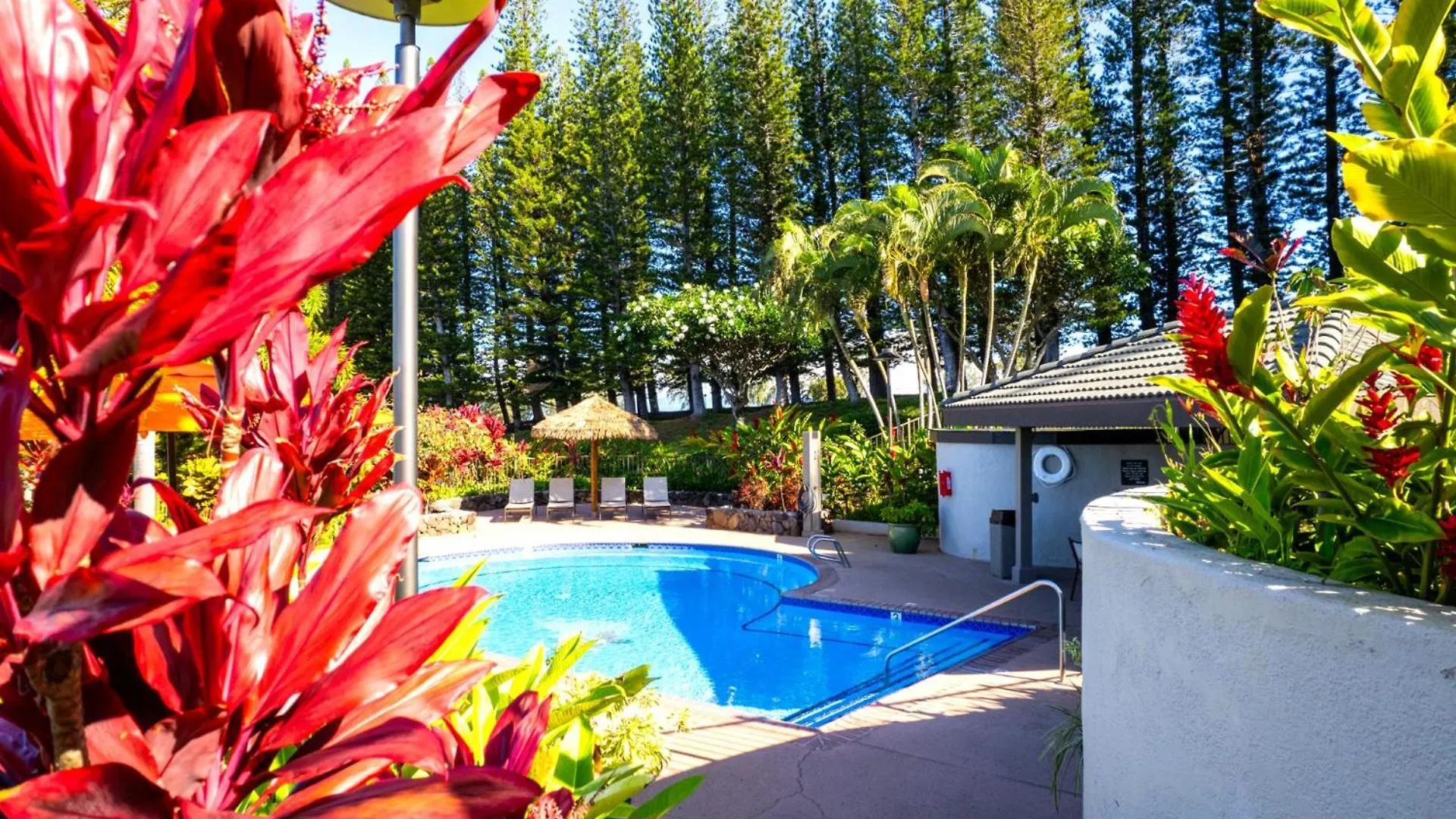 Kbm Resorts Free Car Kapalua Golf Villa Kgv-19P3 Remodeled Ocean Views